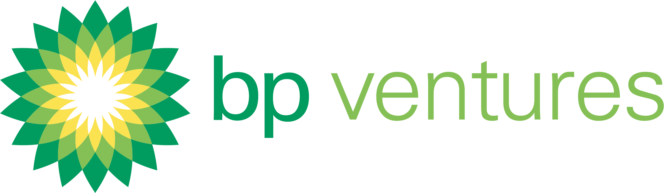 Bp Ventures Logo